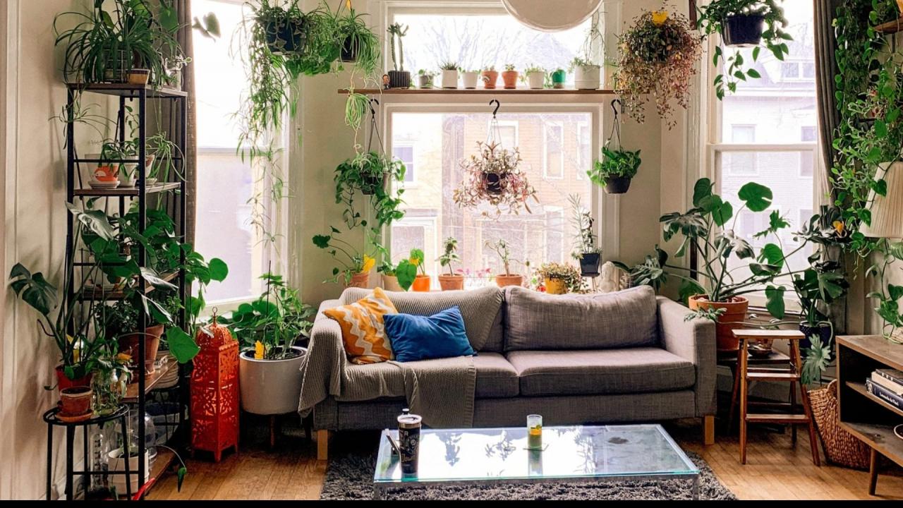 हवा शुद्ध करने वाले इनडोर प्लांट्स लगाएं