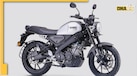 Yamaha New Bike: दमदार लुक और मॉडर्न फीचर्स के साथ... लॉन्च हुई यामाहा की ये धाकड़ बजट फ्रेंडली Bikes