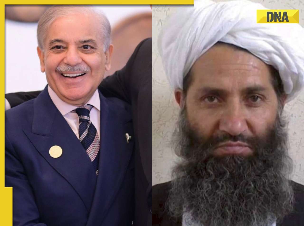 DNA TV Show: How Taliban-Pakistan ceasefire stalled due to fatwa