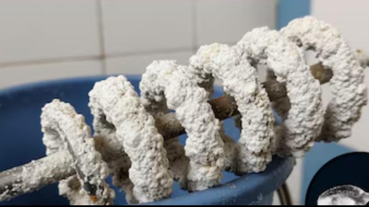 जरूरत पड़ने पर दोहराएं