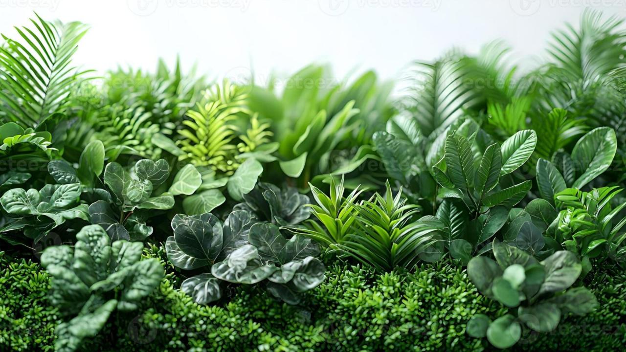 हरे-भरे पौधे और हरियाली 