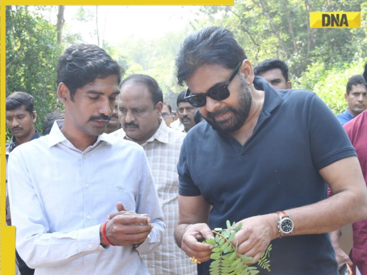 Pawan Kalyan stands for protection of Red Sanders trees from smuggling, advocates green revolution with Operation Aranya: 'No one dares to touch...'