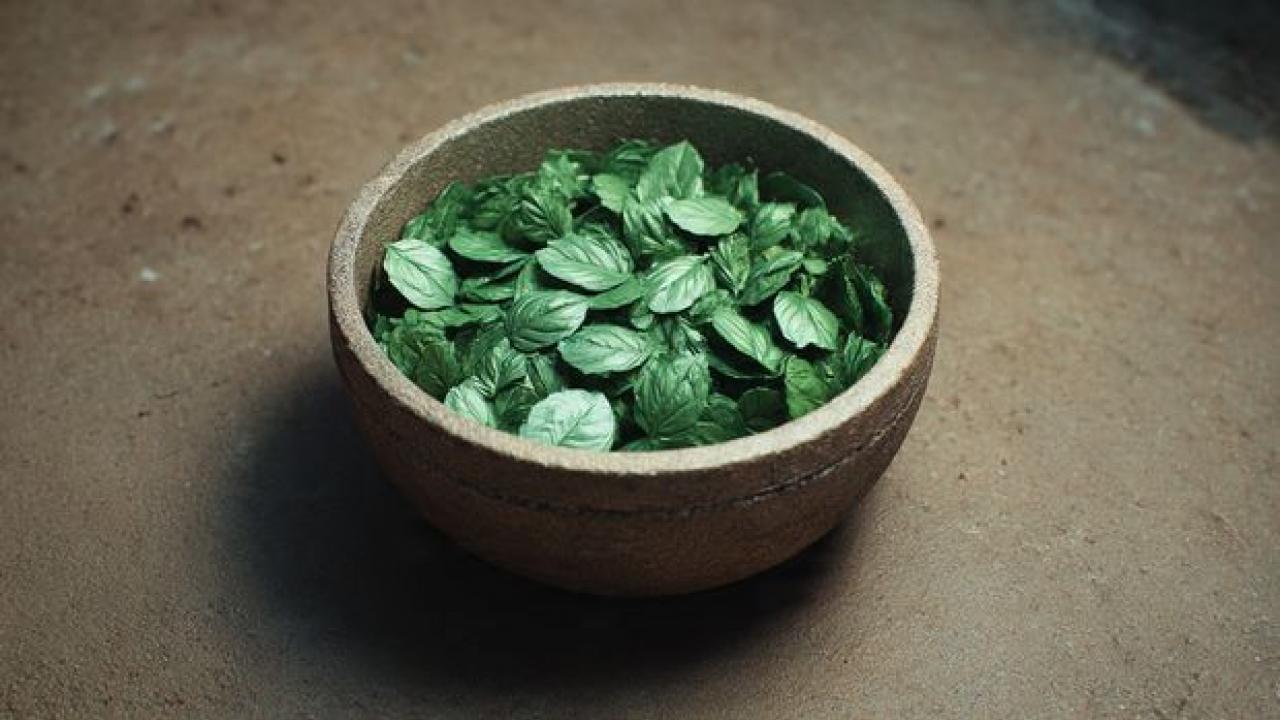 कोलेस्ट्रॉल, ट्राइग्लिसराइड और मोटापे की समस्या नहीं होगी