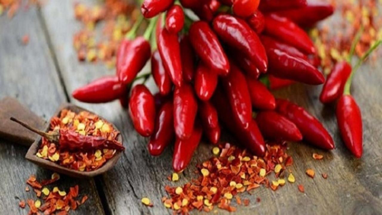 सूखी मिर्च और सरसों के दाने का उपाय