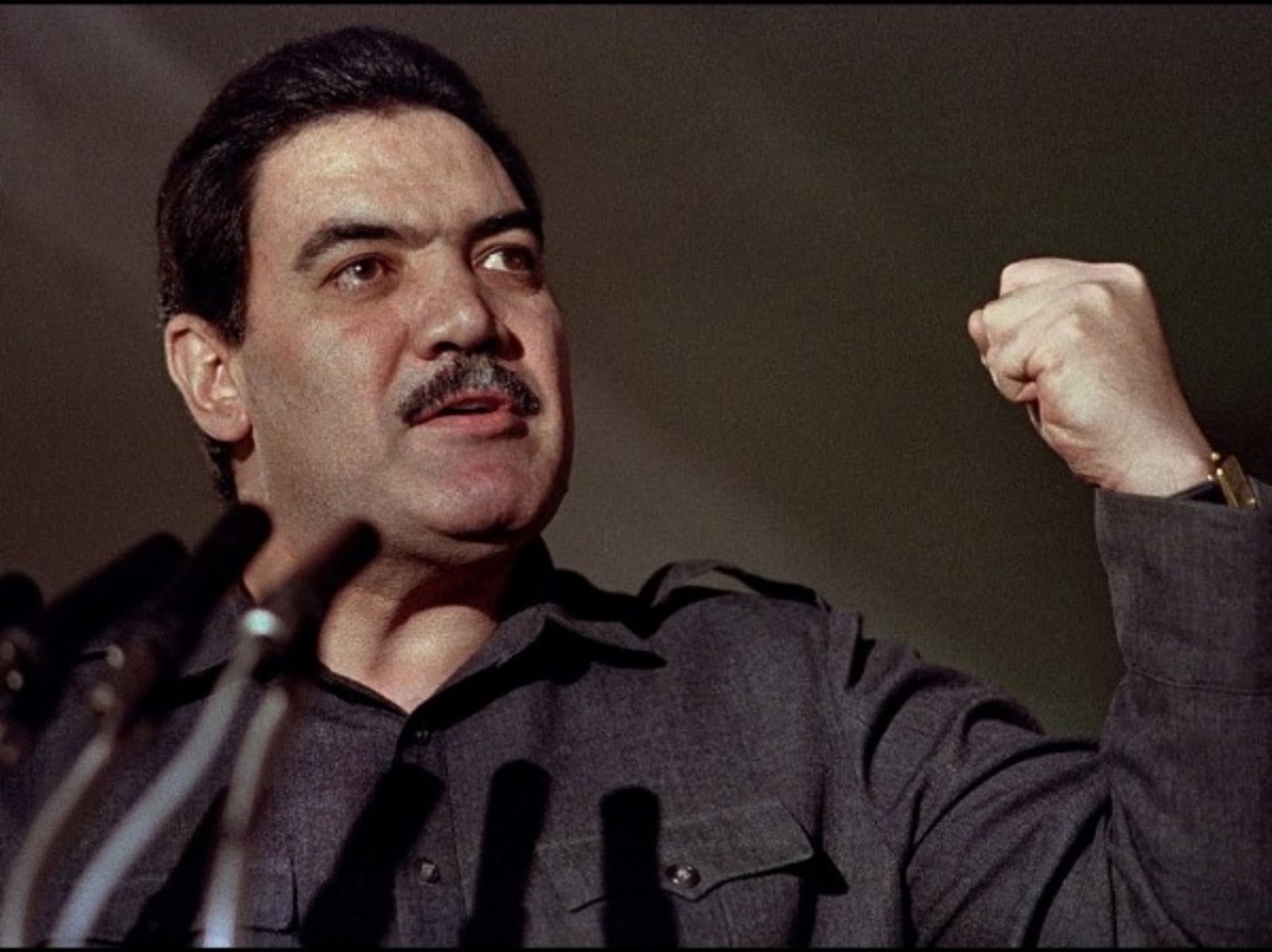 Mohammad Najibullah, Afghanistan