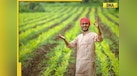  PM Kisan 21st Installment date announced: PM Modi to release next tranche of Rs 2000 on... 