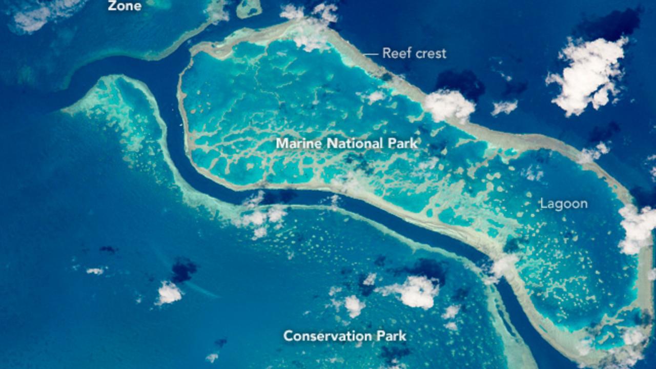 ग्रेट बैरियर रीफ