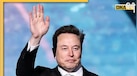 चार शादी करने वाले Elon Musk किस धर्म से रखते हैं ताल्लुक? जानिए क्या करते हैं उनके 14 बच्चे