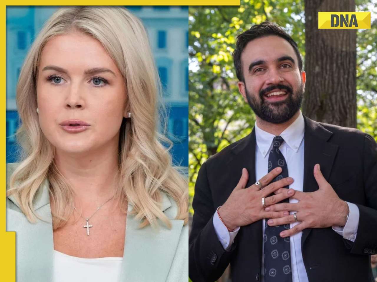 White House Karoline Leavitt's fresh attack on New York's Mayor-elect Zohran Mamdani ahead of his meet with US President Donald Trump: 'Communist is coming...'