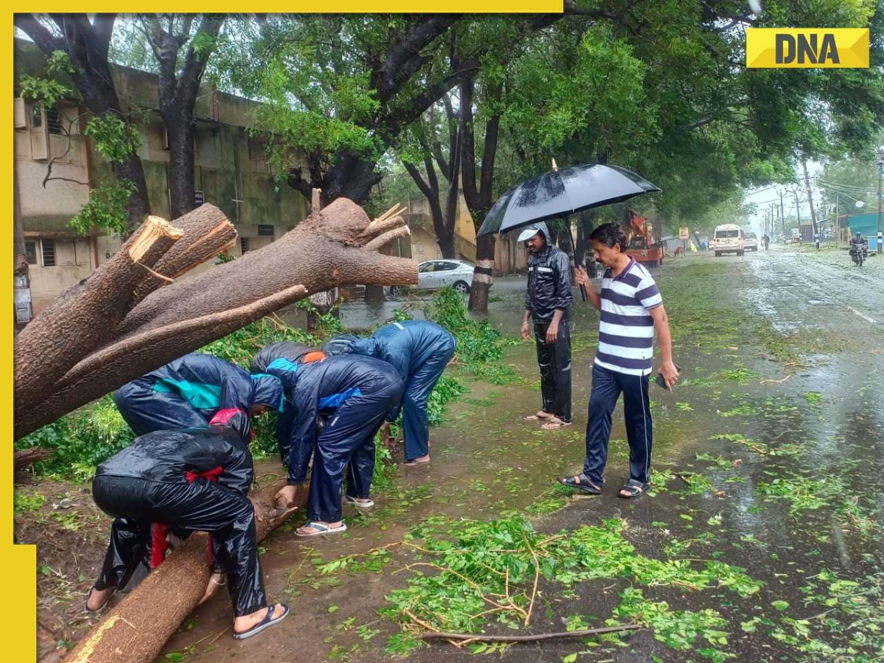 Cyclone Ditwah: Tamil Nadu govt takes precautions, arranges food, shelter for 1 lakh people in Cuddalore