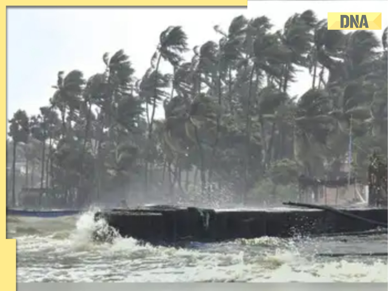 Cyclone Ditwah Highlights: Puducherry CM N. Rangaswamy reviews situation on ground, says, 'To fulfil needs of people....'