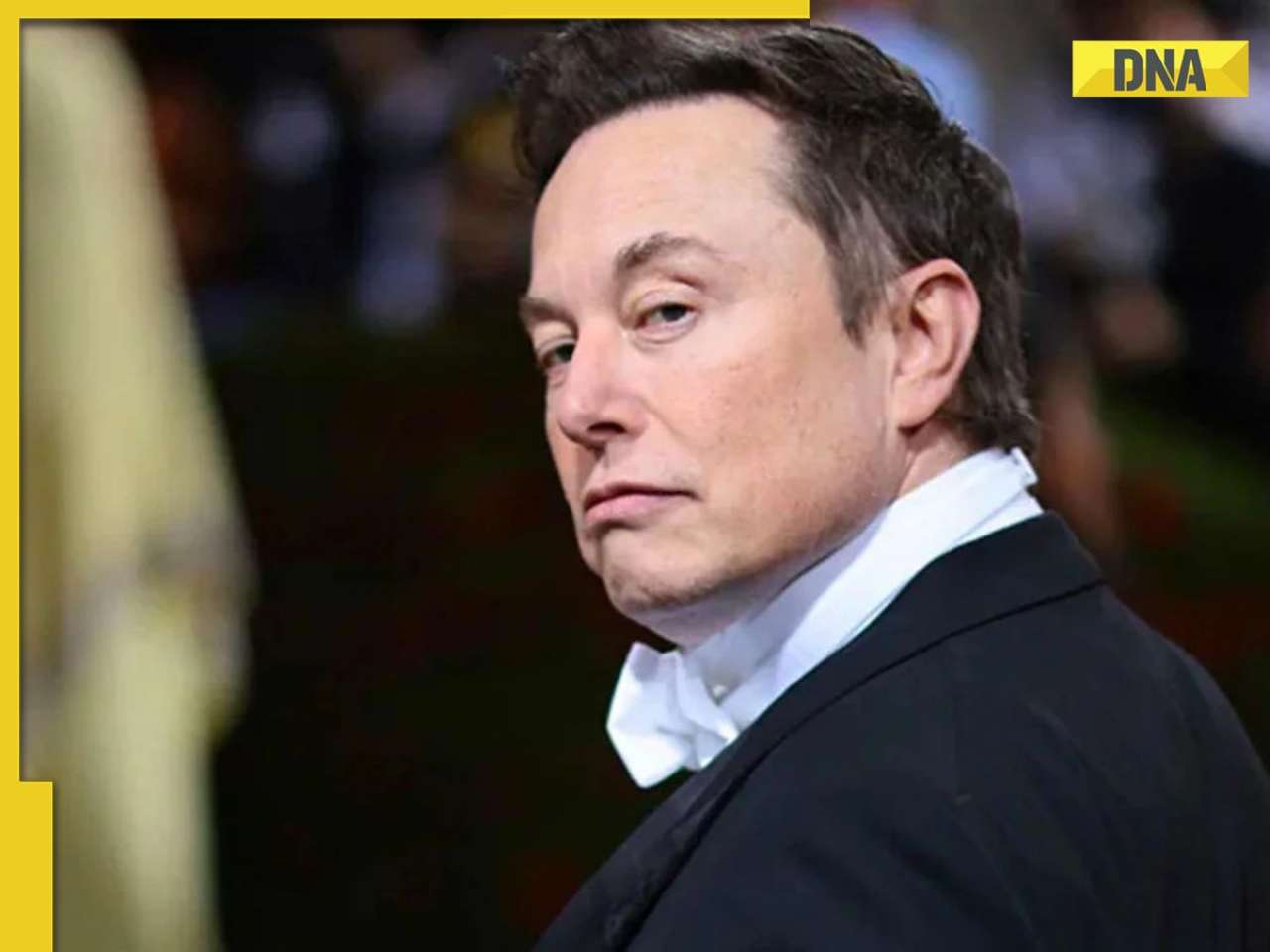 Tesla CEO Elon Musk drops BOMBSHELL, 'War in 5 or 10 years', internet says, 'Grok why...'