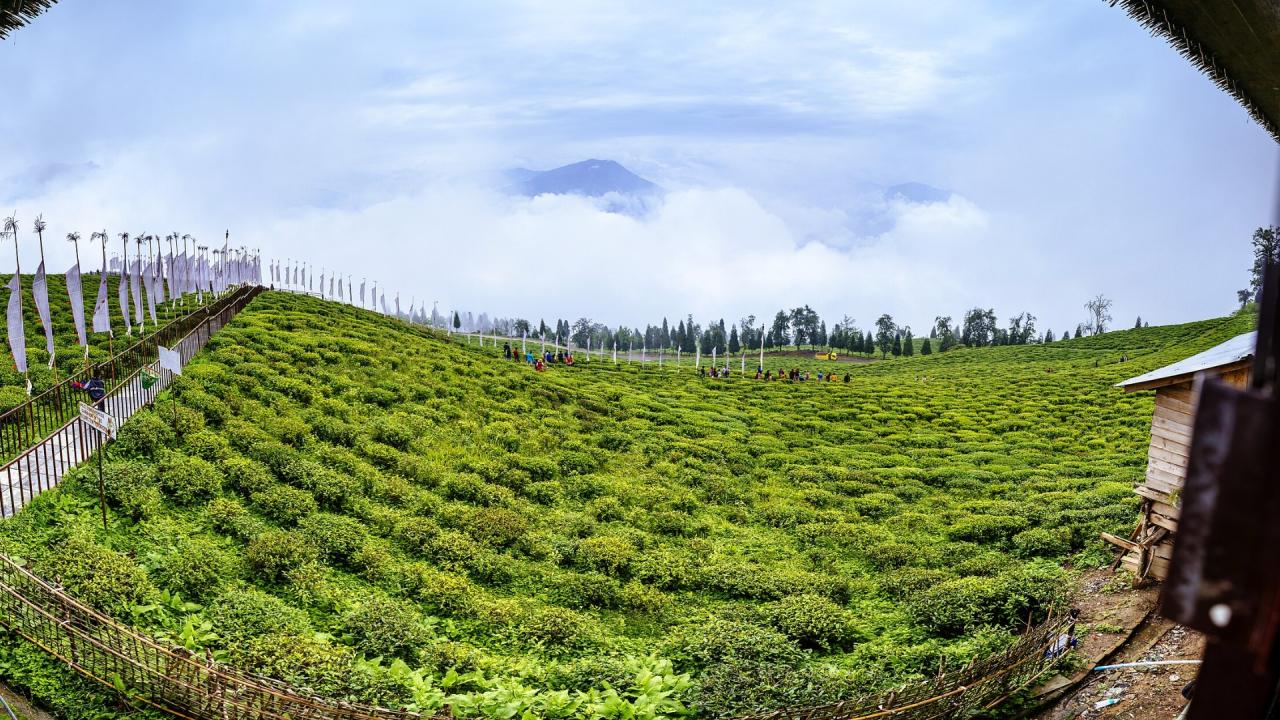 रेल नेटवर्क बिछाने में क्या हैं दिक्कतें?