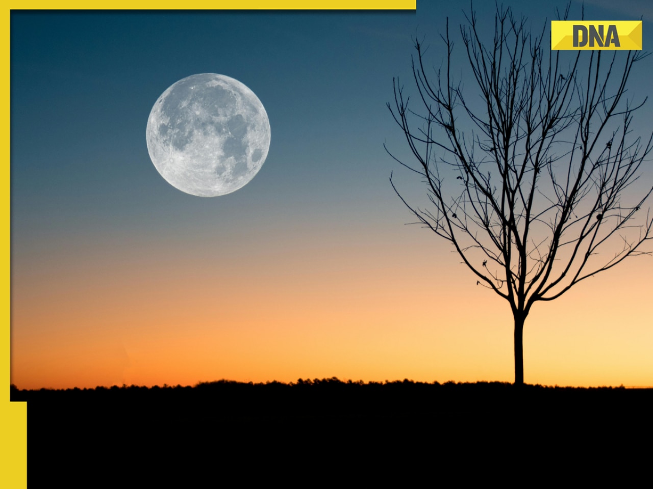Full Moon December 2025: Why the day is considered auspicious and how to manifest effectively