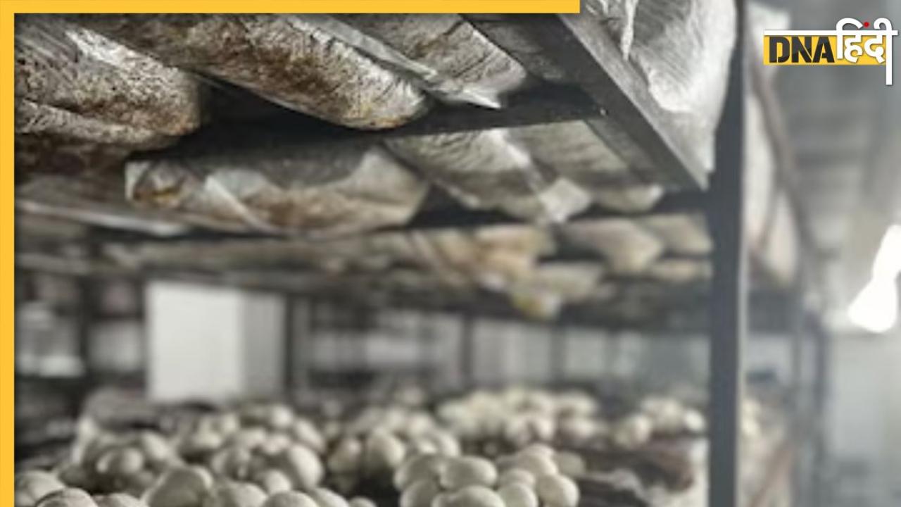 विदेश में 25 लाख की नौकरी को मारी लात