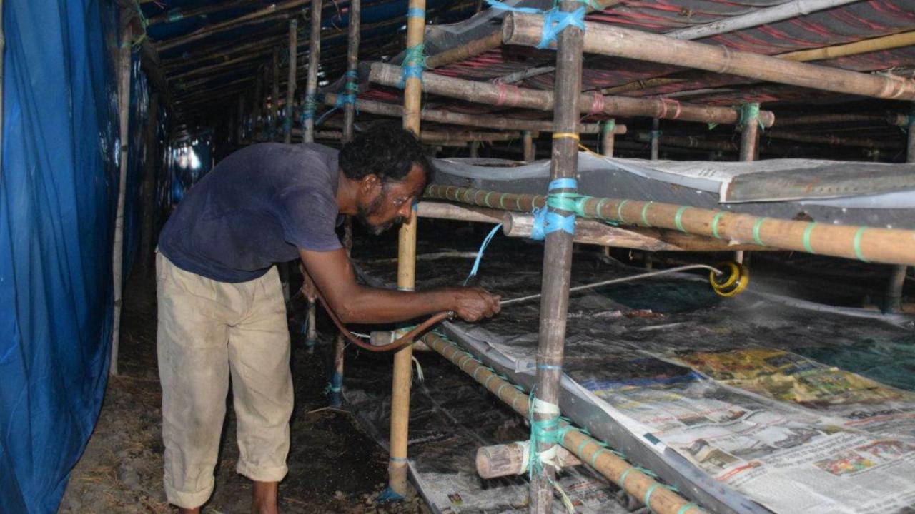 कब शुरू किया अपना बिजनेस?