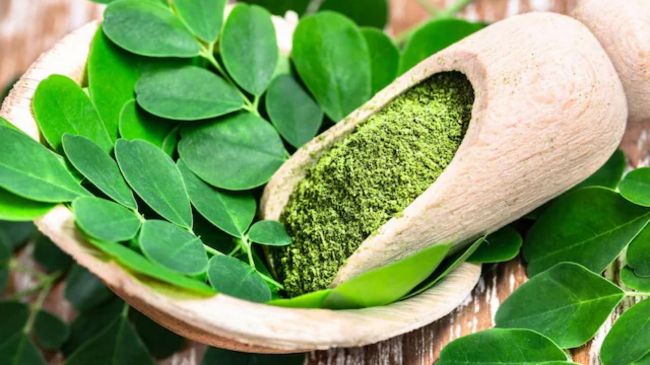  प्रोजेक्ट डायरेक्टर पद का मिला ऑफर