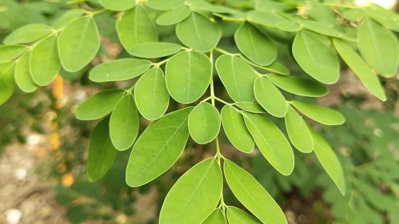 कब शुरू किया अपना बिजनेस?