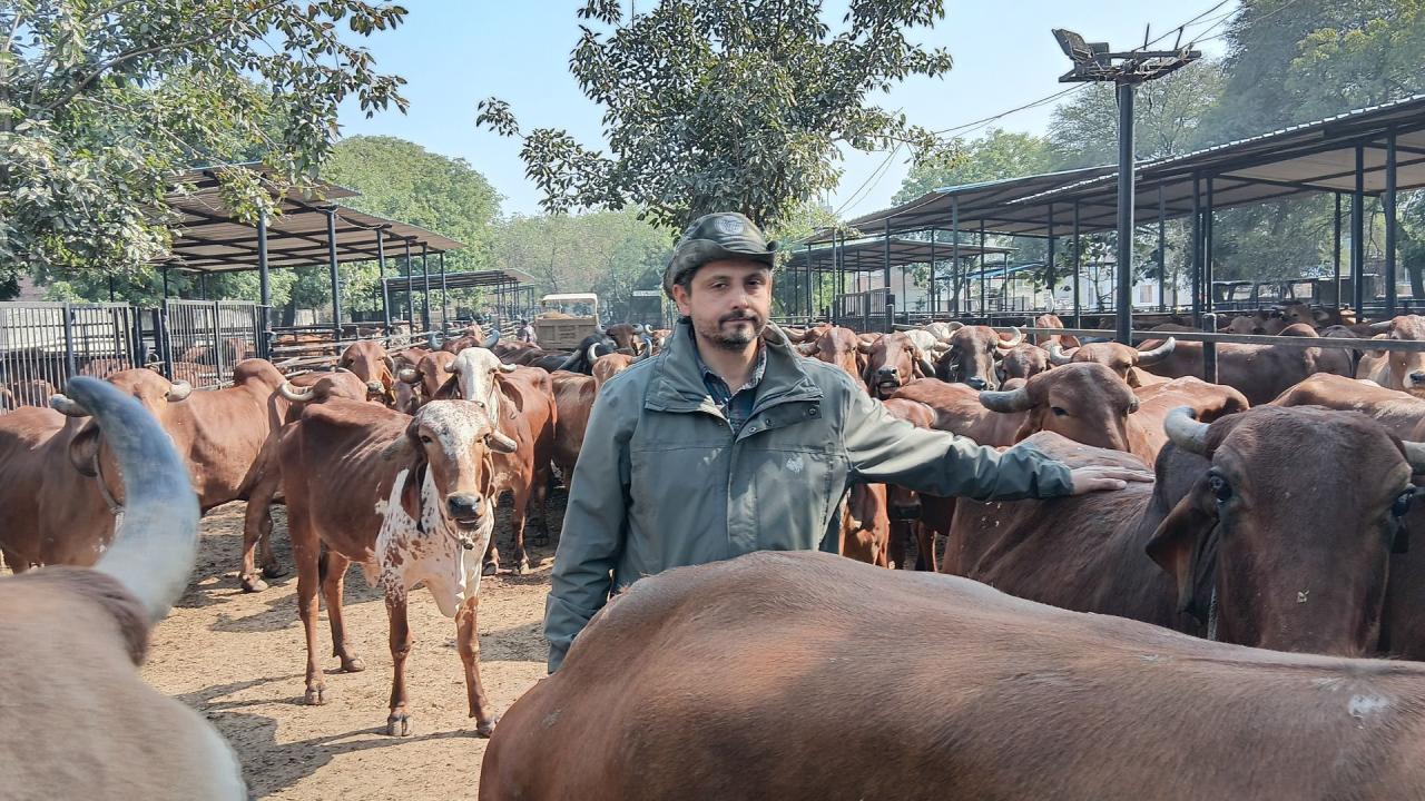 अपनी डेयरी को पहुंचा ऑनलाइन