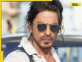 Shah Rukh Khan's Pathaan 2 announced in Dubai? Viral video creates frenzy on social media, fans say 'after Dhurandhar...'