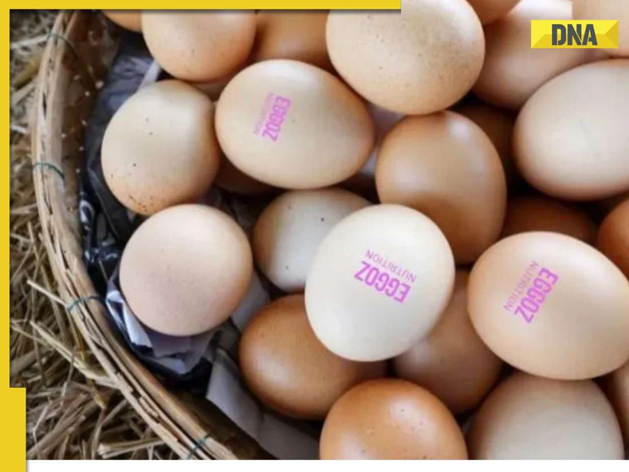 Eating eggs causes cancer? THIS brand under fire after cancer causing substances found, it is...; experts says...