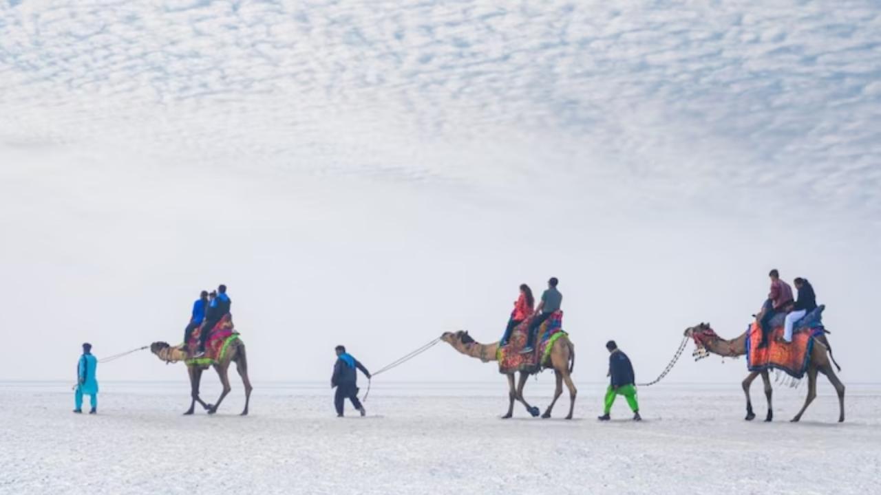 नमक उत्पादन, औद्योगिक महत्व 