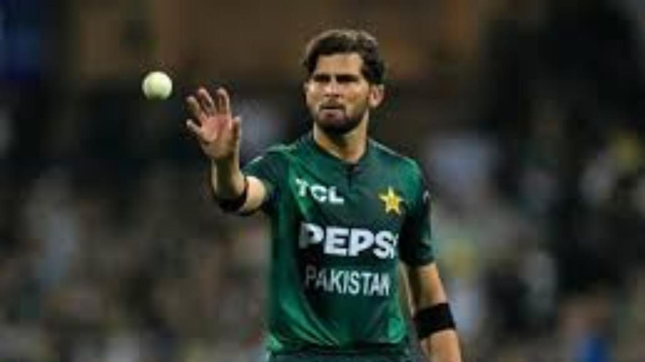 शाहीन अफरीदी