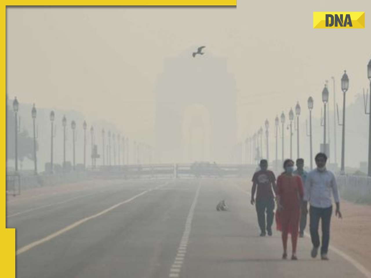 Delhi Air Pollution: Big move by Singapore, UK, Canada as AQI nears 500, issue THIS advisory to their citizens