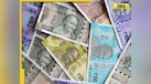  Why is Indian rupee continuously falling? Know 6 major factors and impact on Indian households 