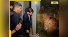  Lion cub named 'Lionel,' football with elephant calf: What all happened during Messi's visit to Anant Ambani's Vantara? 