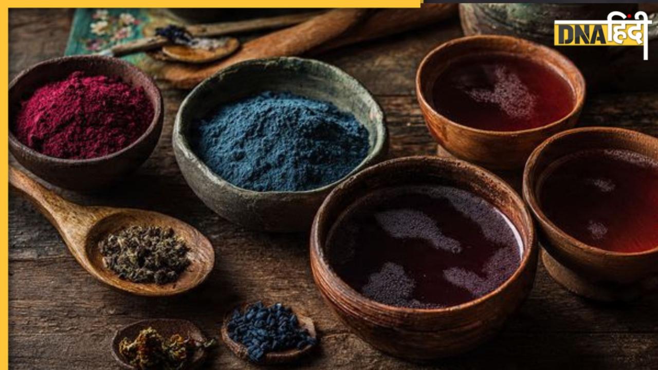 Homemade Dye: इस नेचुरल हेयर डाई से Blackish-Brown होंगे सफेद बाल, कलर चढ़ेगा पक्का और शाइनिंग मिलेगी जबरदस्त