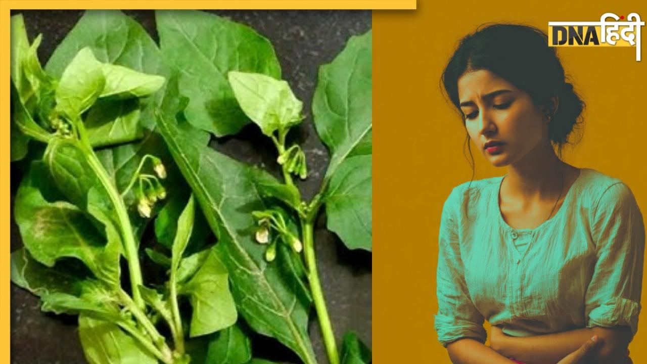 Makoy Ka Saag: देसी सुपरफूड है मकोय का साग, ठंड में जोड़ों के दर्द से खून की कमी तक की समस्या से दिलाती है राहत