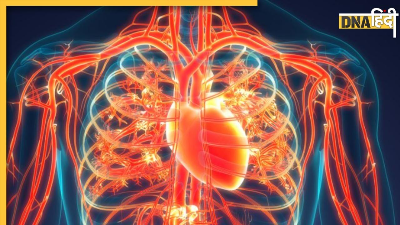 Blood Circulation: खराब ब्लड सर्कुलेशन की पहचान हैं शरीर में दिखने वाले ये लक्षण, भूलकर भी न करें इग्नोर