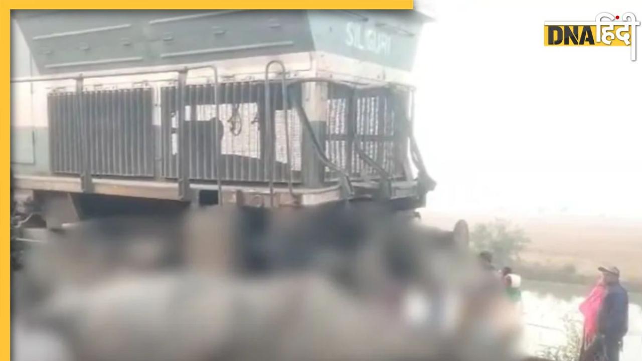 Assam Train Accident: असम में बड़ा ट्रेन हादसा, राजधानी एक्सप्रेस से टकराने पर कई हाथियों की मौत, 5 डिब्बे पटरी से उतरे