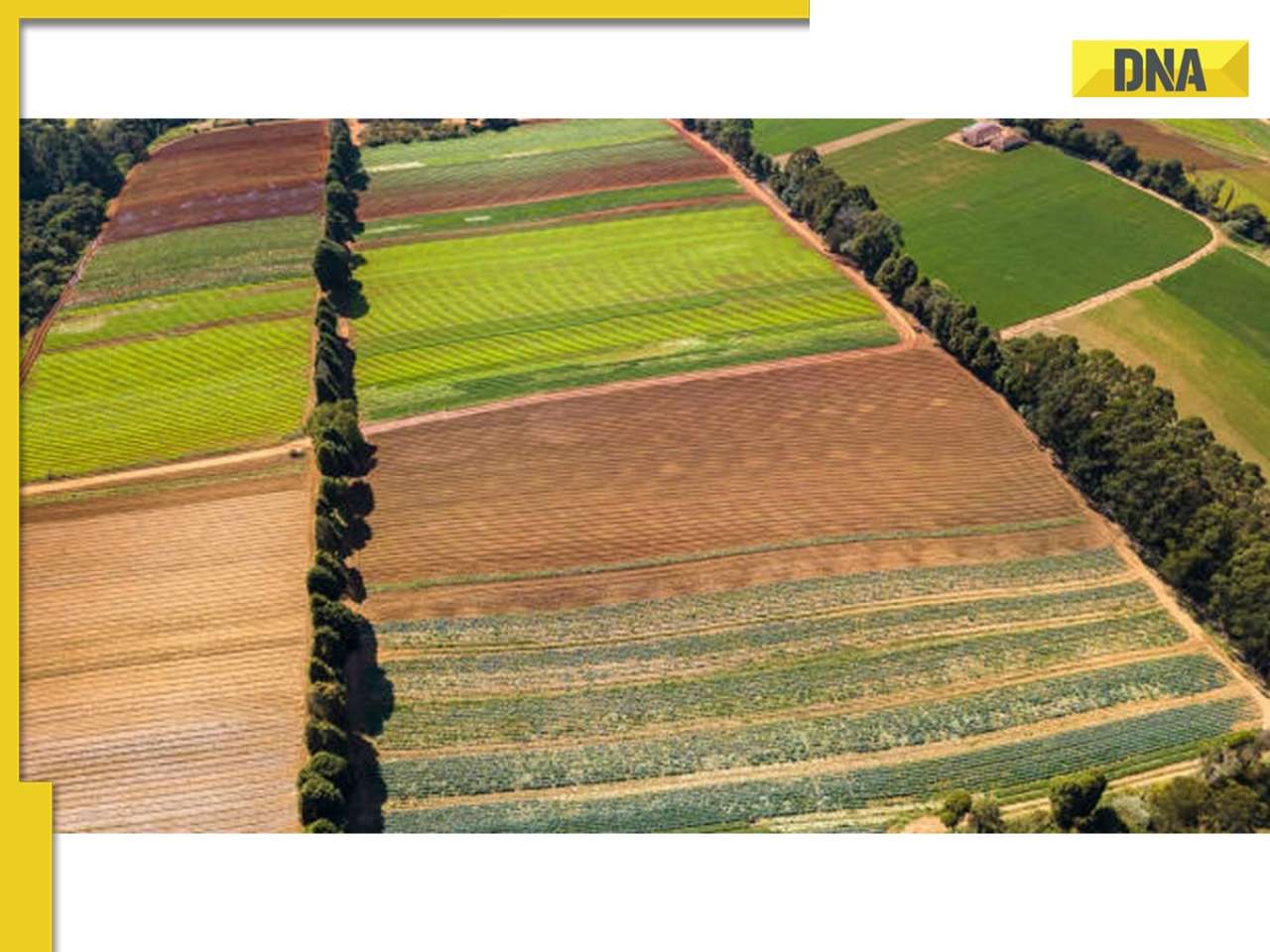 How Do Managed Farmland Companies Help Protect Land Boundaries and Handle Compliance?