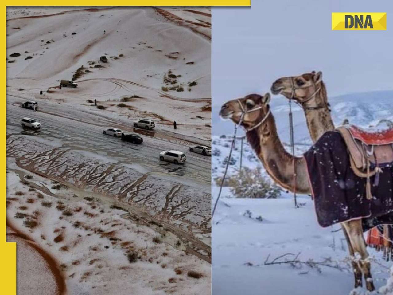 Saudi Arabia witnesses rare snowfall after 30 years, how climate shifts are transforming the weather?