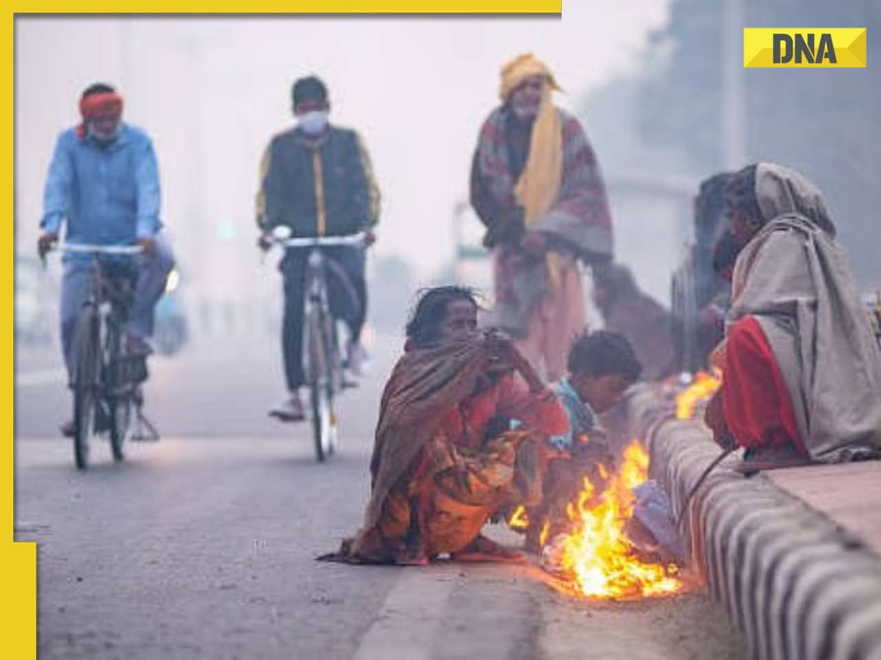 Delhi-NCR shivers under cold wave, AQI remains 'poor', dense fog disrupts flight operations at IGI airport