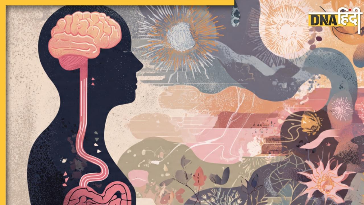 Gut-Brain Axis: इरिटेबल बाउल सिंड्रोम क्या है? जानिए आंतों की सेहत से कैसी जुड़ी है आपकी मेंटल हेल्थ