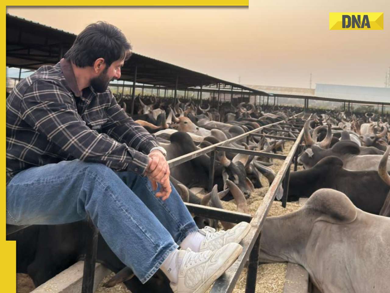 Niet Akshay Kumar, Kangana Ranaut, Paresh Rawal, Anupam Kher; deze acteur schonk Rs 22 lakh aan koeienopvang in Gujarat