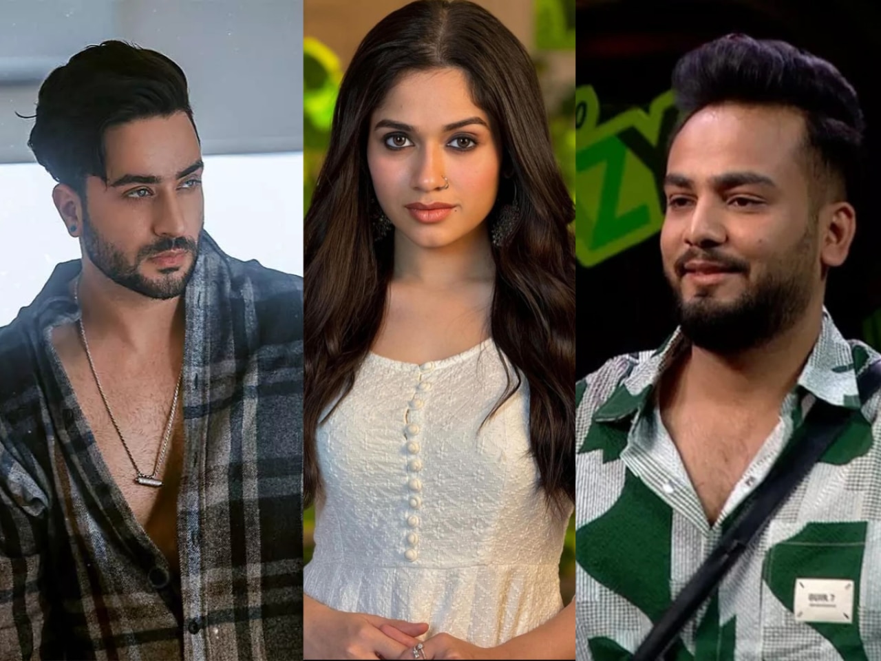 Elvish Yadav, Jannat Zubai, Aly Goni, others salaries