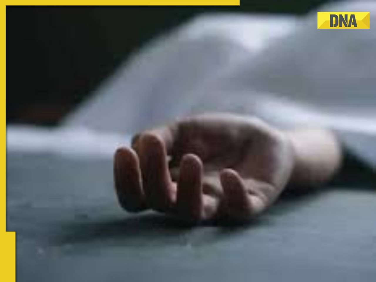 Goa Horror: Russian tourist kills ‘live-in partner’, slits her neck; investigation underway