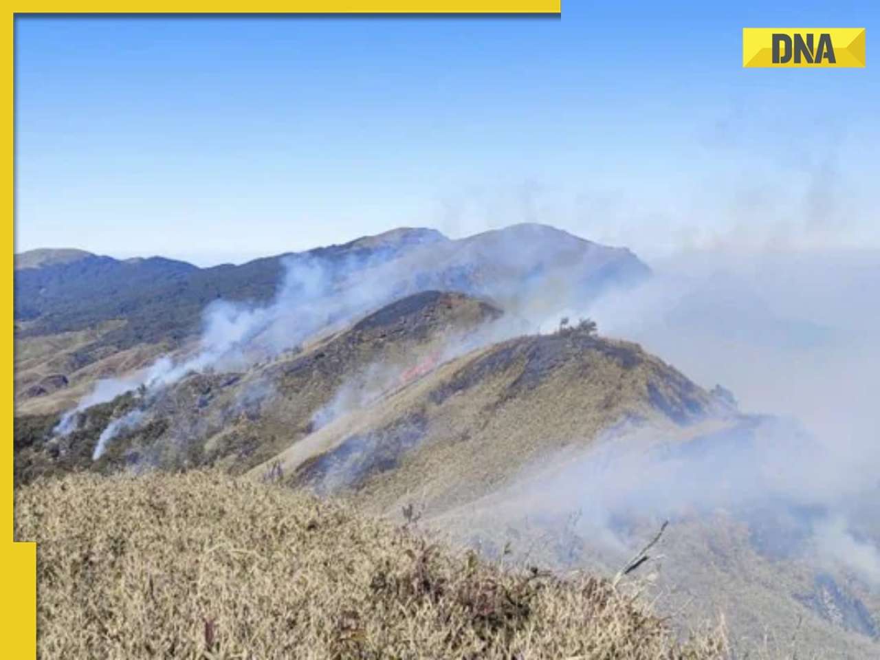 Fire in Nagaland's Dzukou Valley continues to spread, Manipur's tallest peak at risk, authorities on high alert 