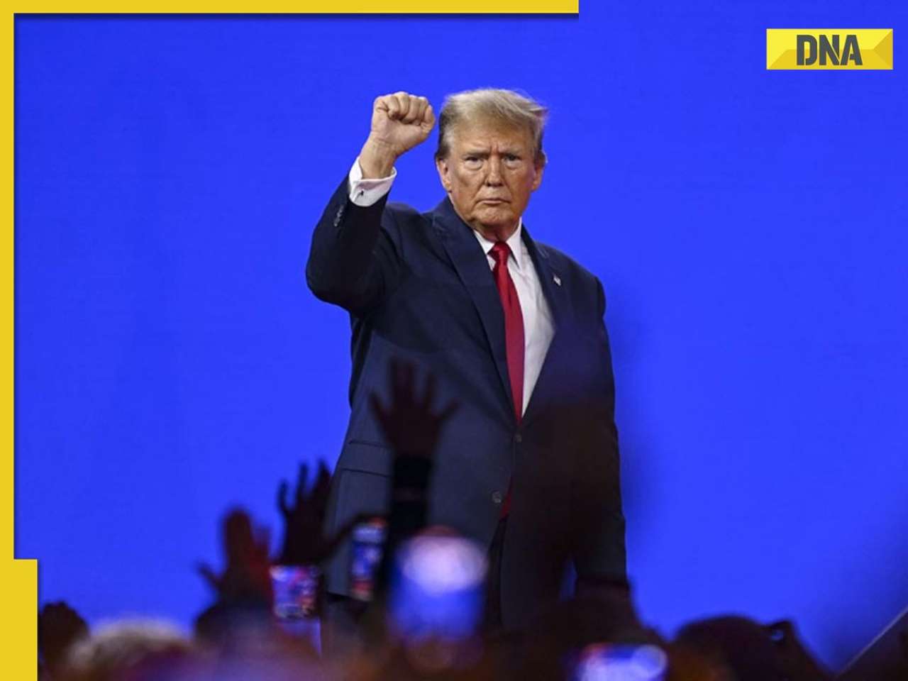 Explosive Epstein dossier alleges Donald Trump was &lsquo;compromised&rsquo;, flags Kushner&rsquo;s outsized influence