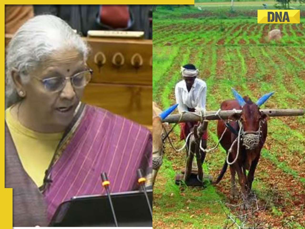Union Budget 2026: Big relief to farmers, Nirmala Sitharaman announces measures to increase farmers income
