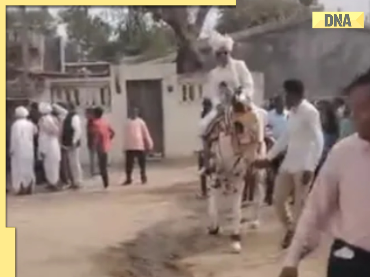 Dalit groom attacked with swords for riding horse in Gujarat wedding procession, here's what happened