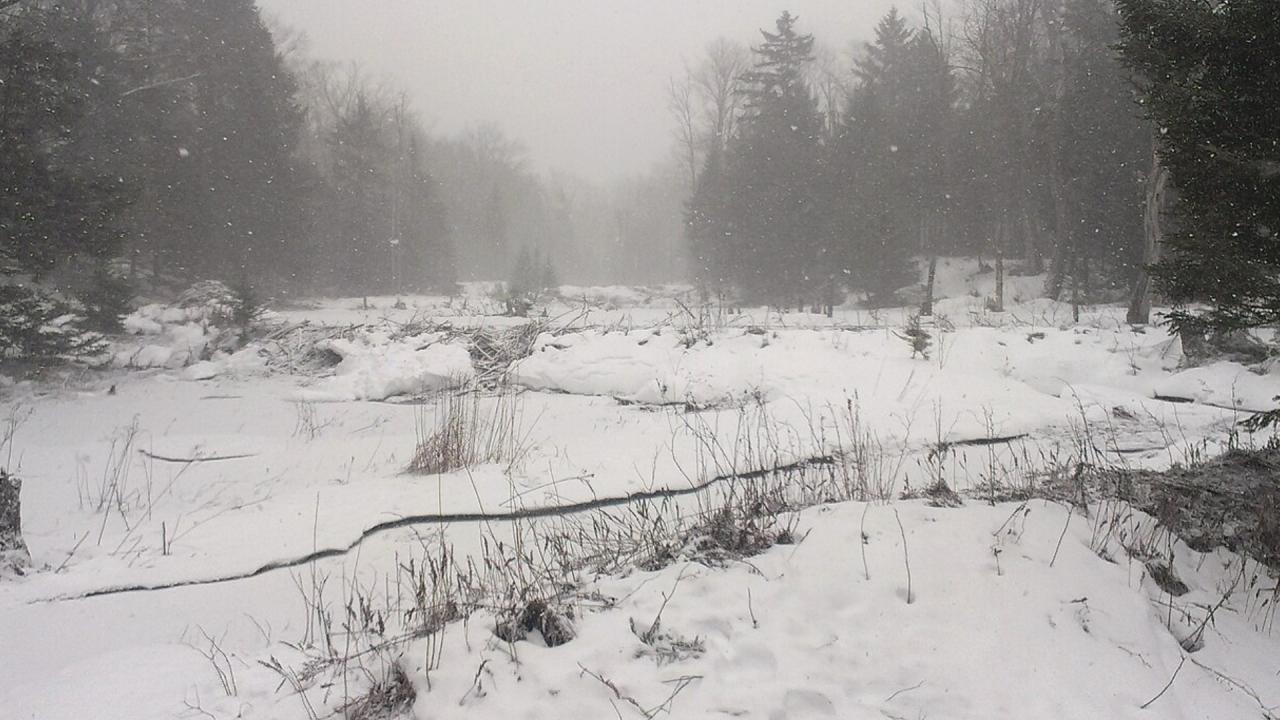 प्रकृति के लिए कैसे फायदेमंद है यह बांध?