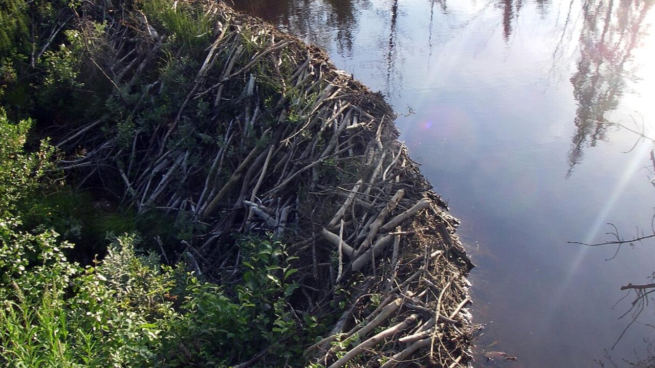 पर्यटकों की पहुंच से बहुत दूर है यह जगह