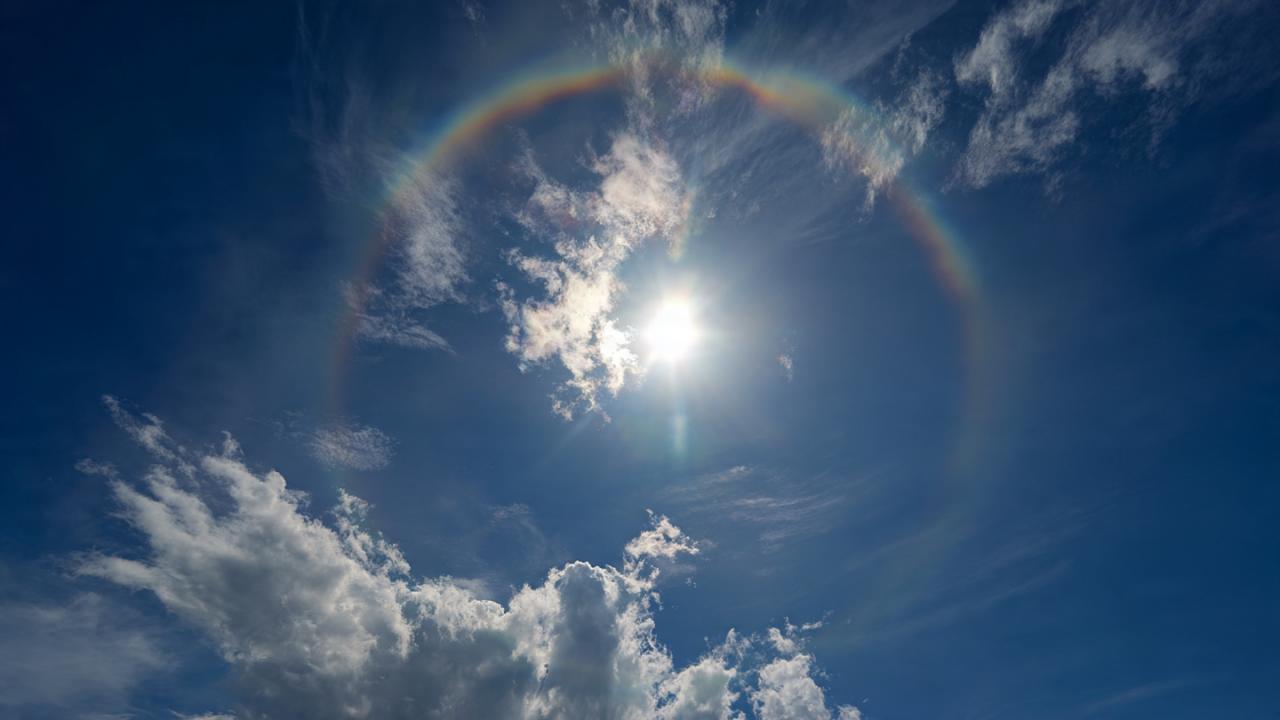 मून डॉग किसे कहते हैं?