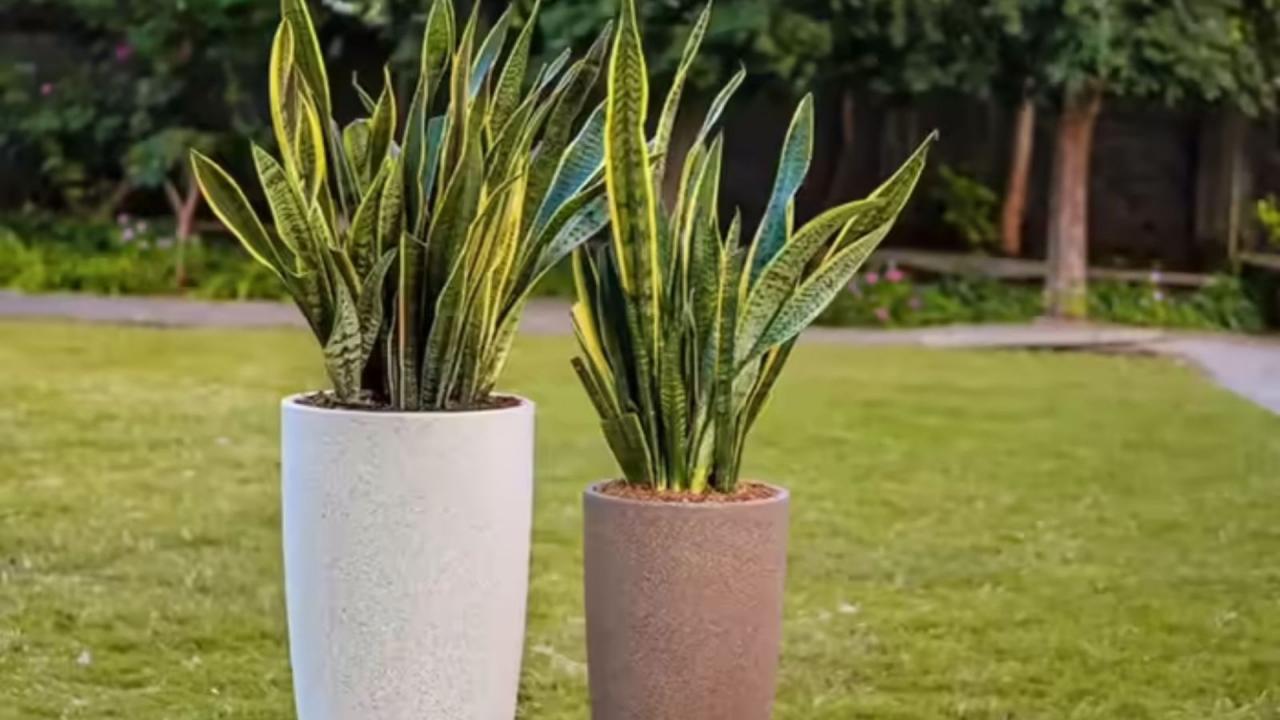 आज बना दी करोड़ों की कंपनी