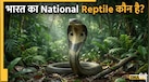 राष्ट्रीय पशु-पक्षी तो जानते हैं, लेकिन भारत का National Reptile क्या है?